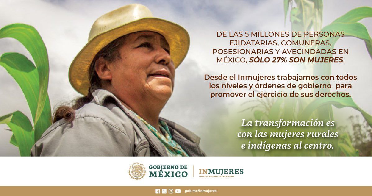Descripción de la imagen