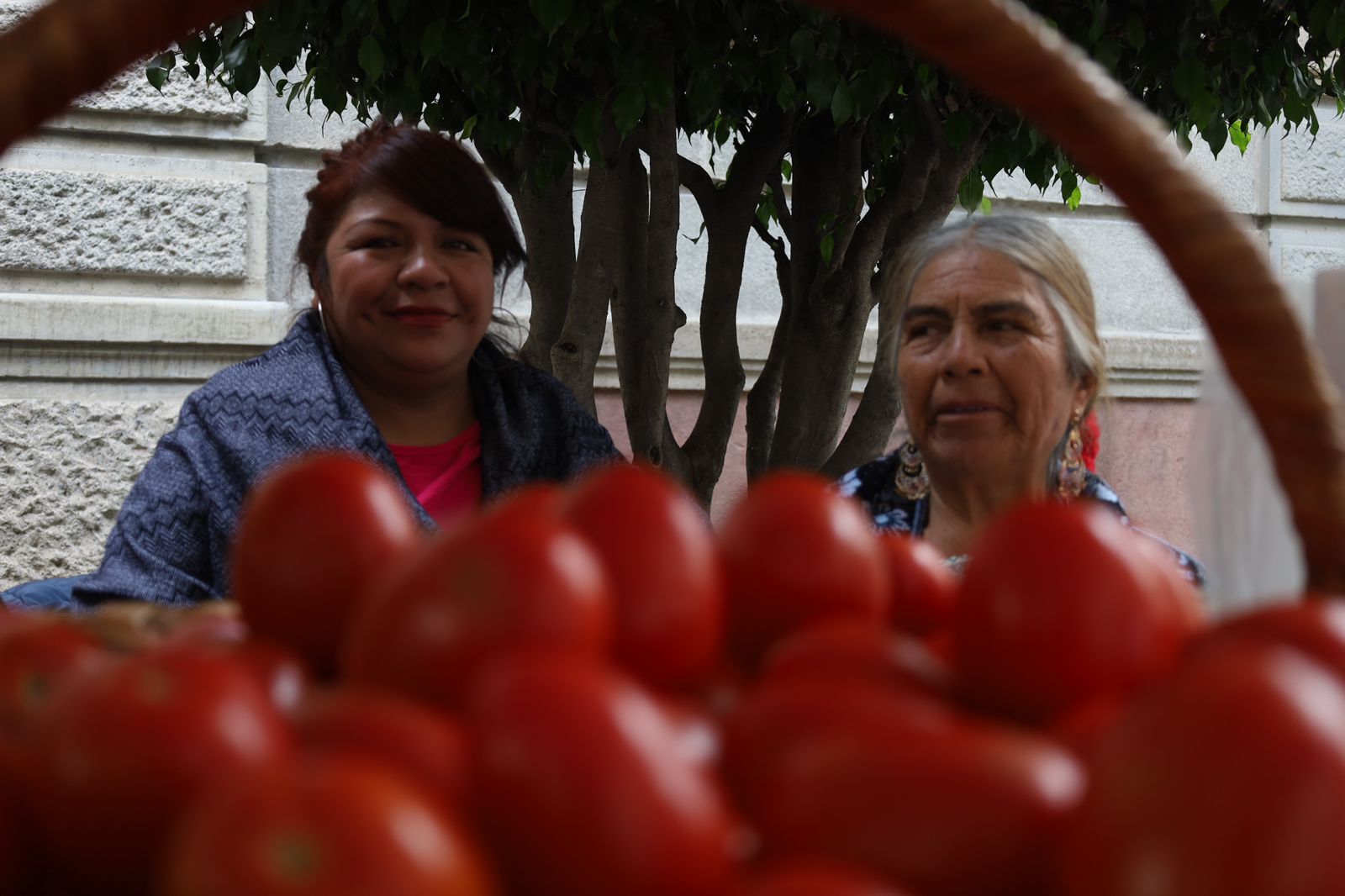 Manual para emprendimientos rurales
